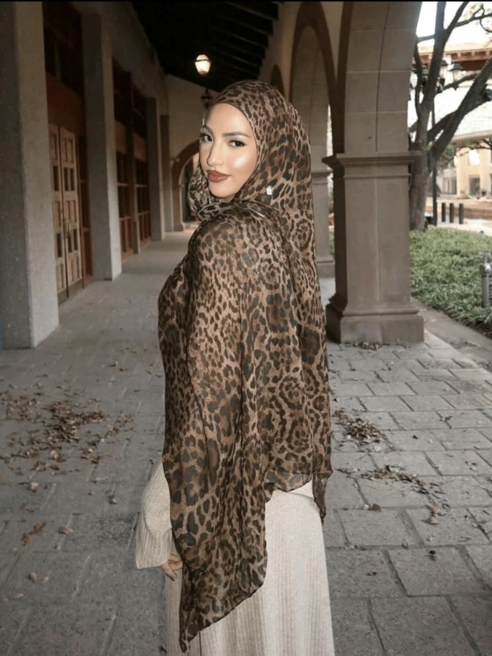 تايغر